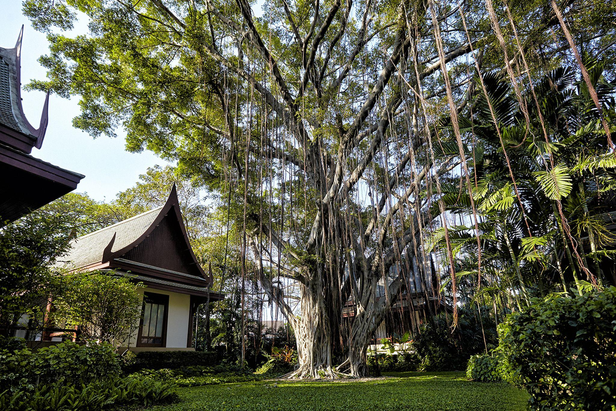 Chiva-Som International Health Resorts Hua Hin Dış mekan fotoğraf